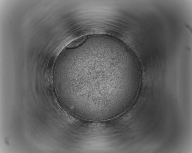 X0000103161081200809121833