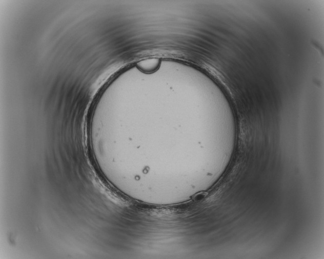 X0000103161082200809121833