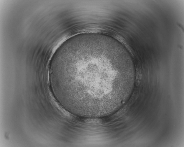 X0000103161083200809121833