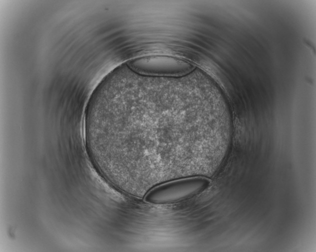 X0000103161084200809121833