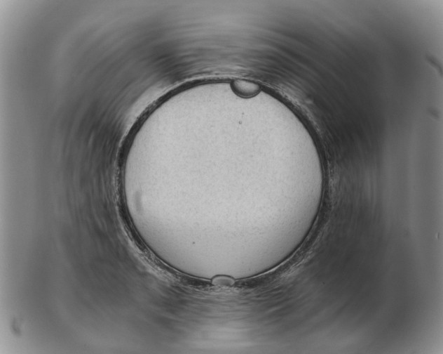 X0000103161085200809121833