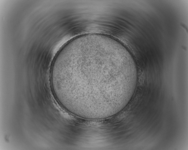 X0000103161086200809121833