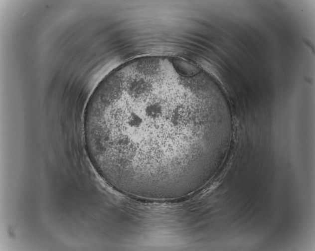 X0000103161087200809121833