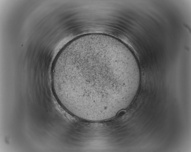 X0000103161088200809121833