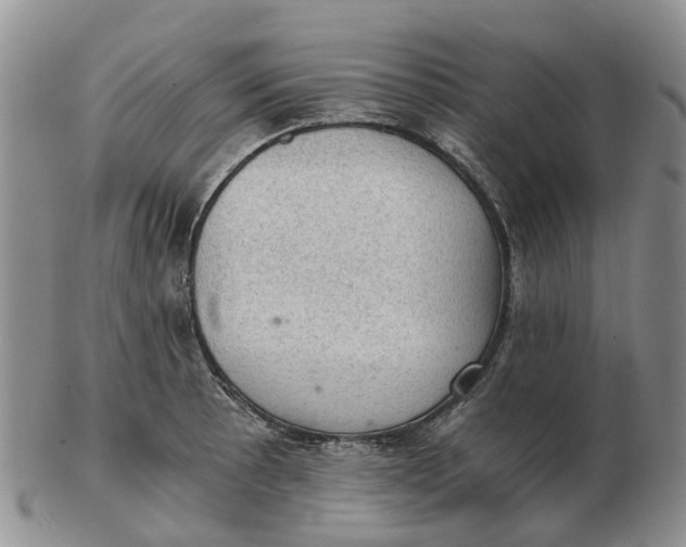 X0000103161089200809121833