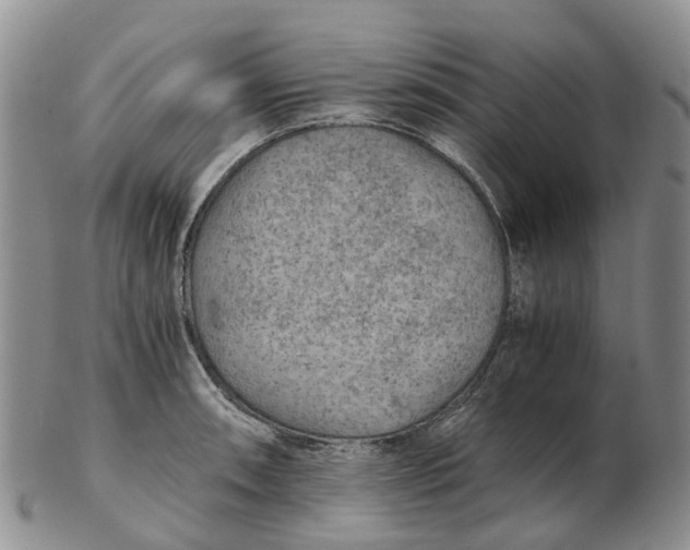 X0000103161090200809121833