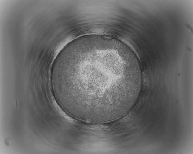 X0000103161091200809121833