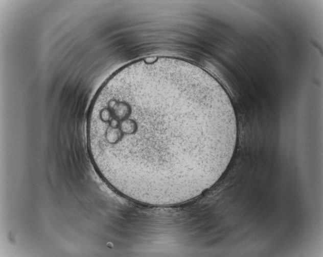 X0000103161092200809121833