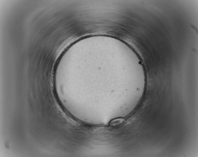 X0000103161093200809121833