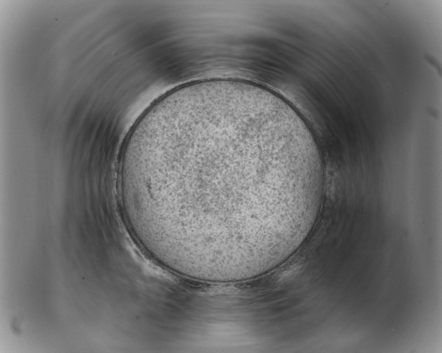 X0000103161094200809121833