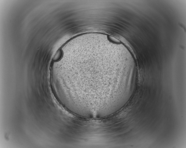 X0000103161096200809121833