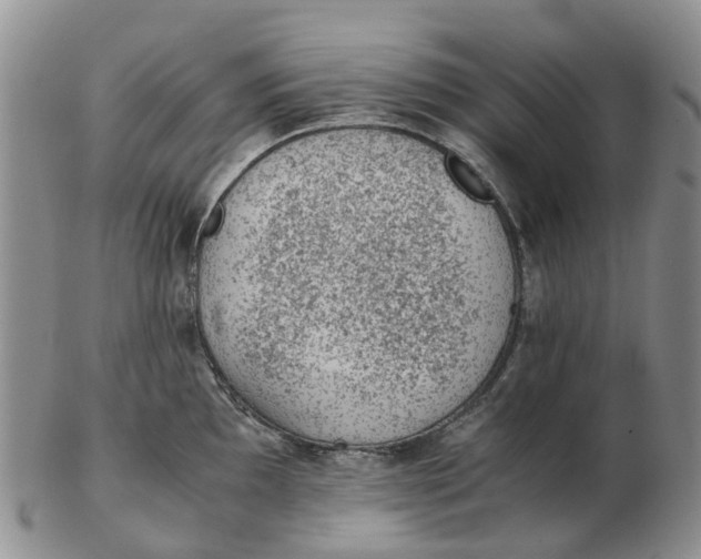 X0000103161097200809121833