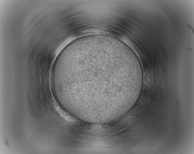 X0000103161098200809121833