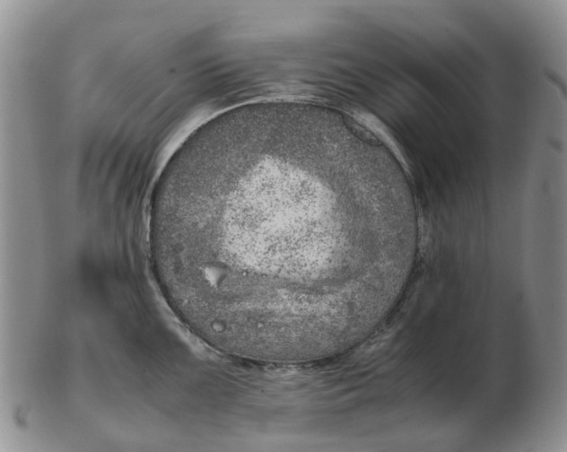 X0000103161099200809121833