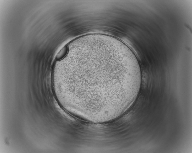 X0000103161100200809121833