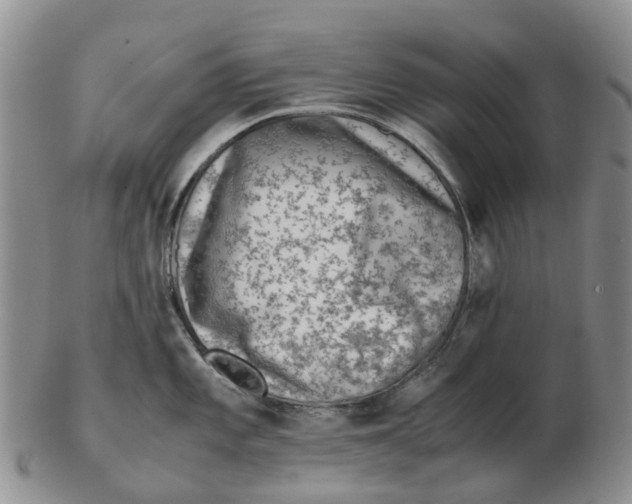 X0000103161101200809121833