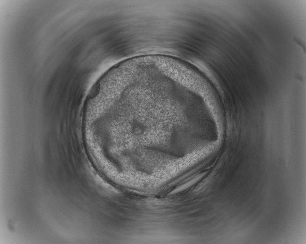 X0000103161102200809121833