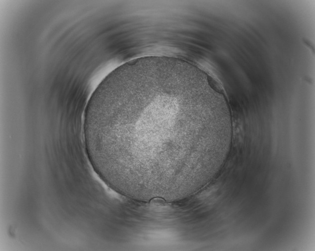 X0000103161103200809121833