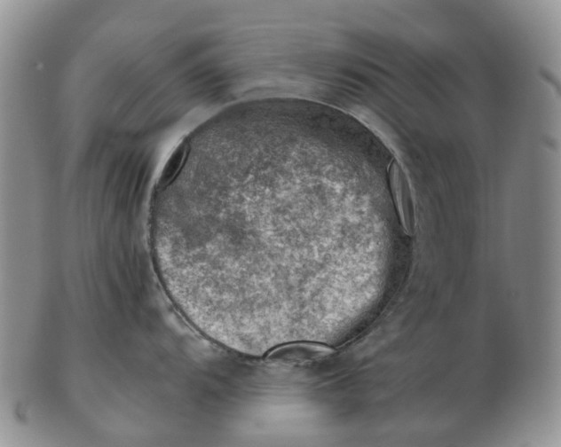 X0000103161104200809121833