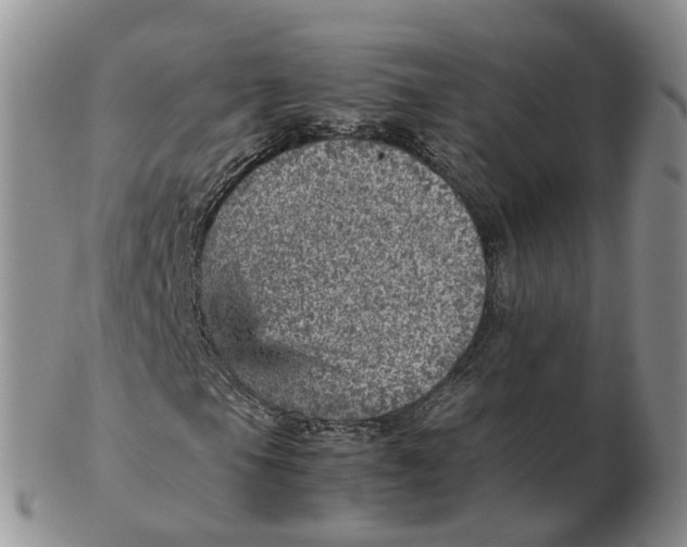 X0000103161105200809121832