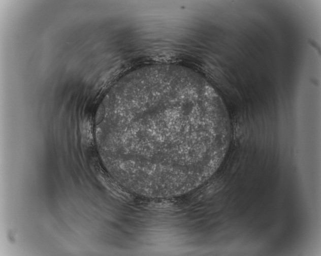 X0000103161106200809121832