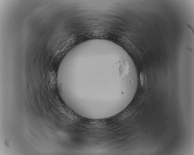 X0000103161107200809121832