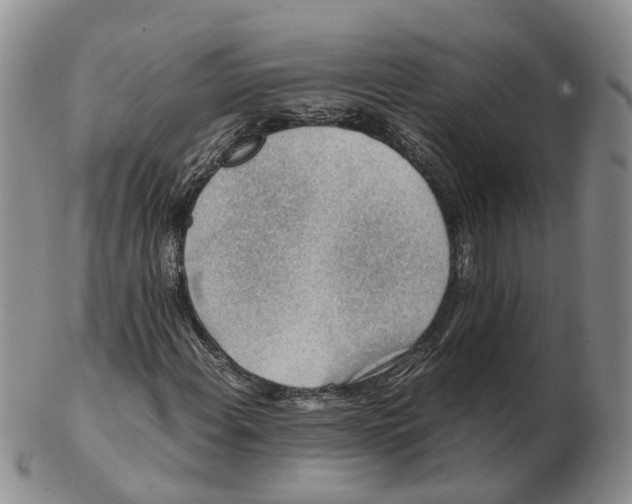 X0000103161108200809121832