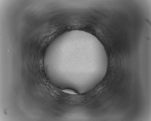 X0000103161109200809121832