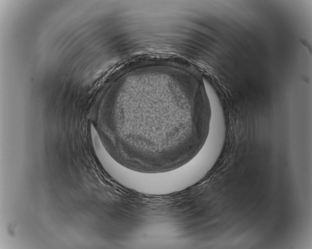 X0000103161110200809121832