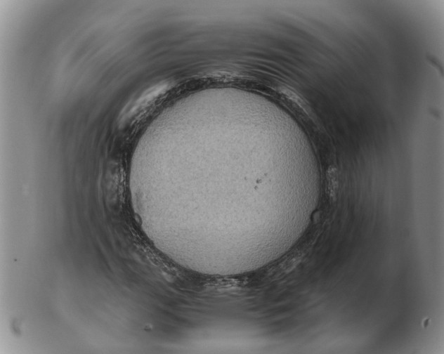 X0000103161111200809121832