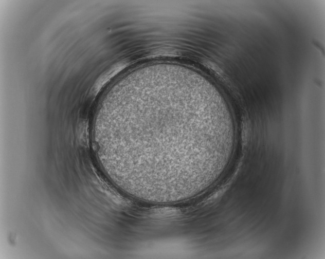 X0000103161113200809121832