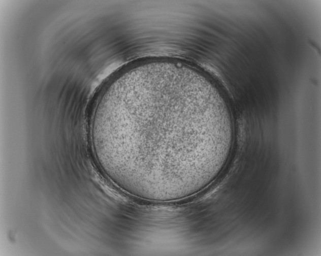 X0000103161114200809121832