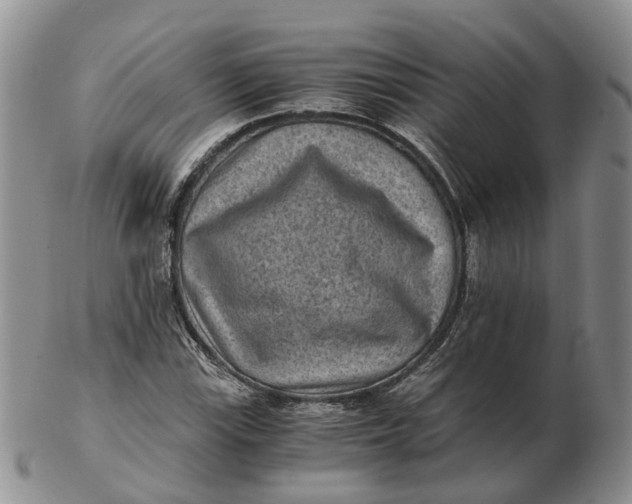 X0000103161115200809121832