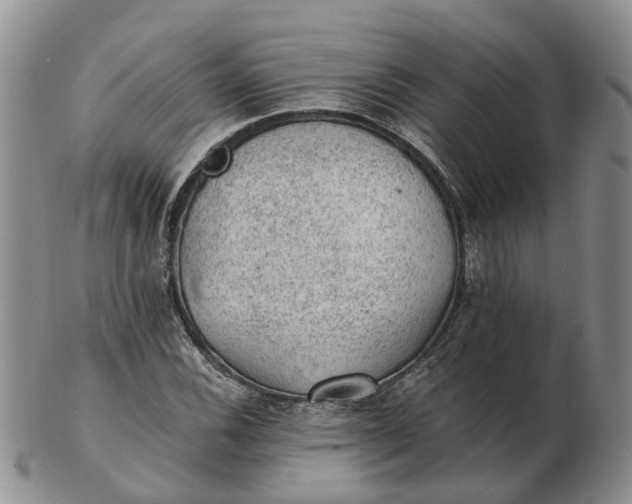 X0000103161116200809121832