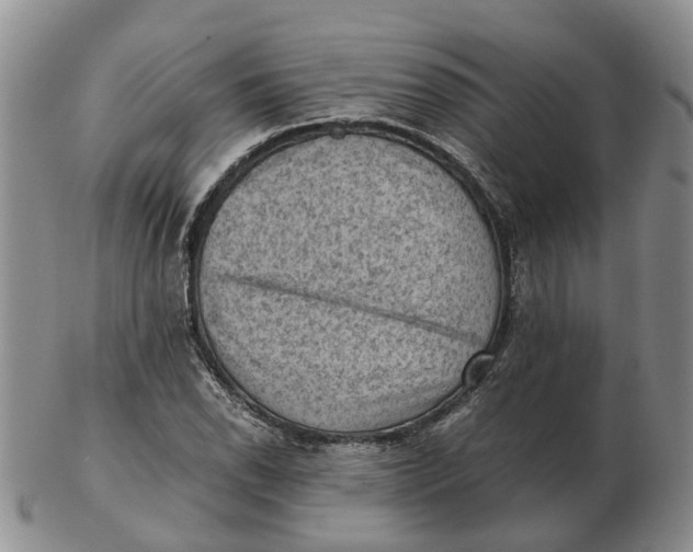 X0000103161118200809121832