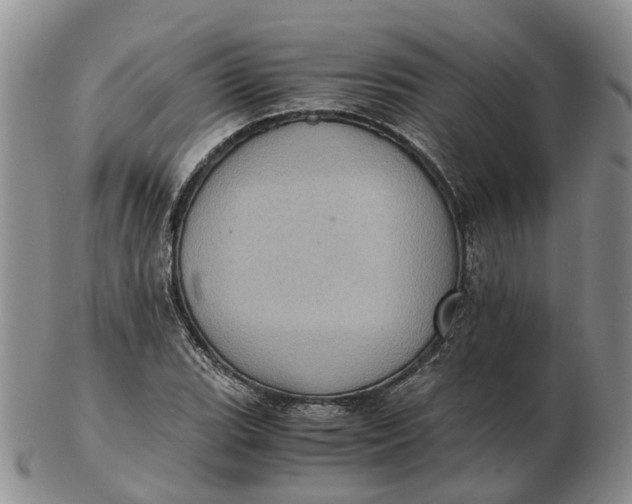 X0000103161119200809121832