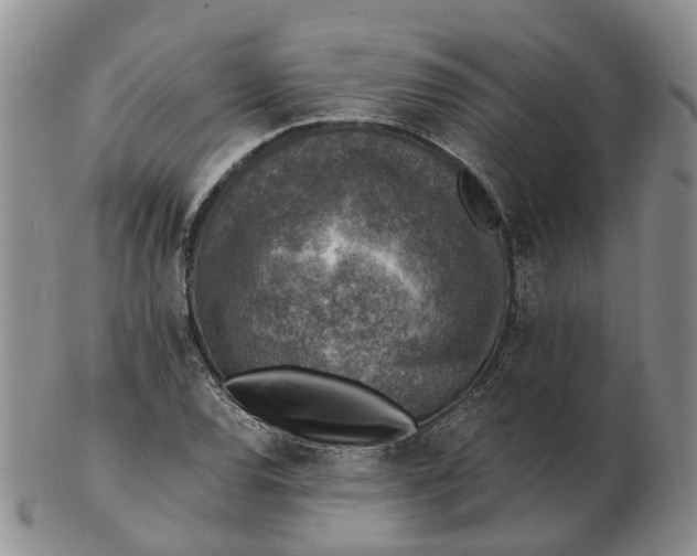 X0000103161120200809121832