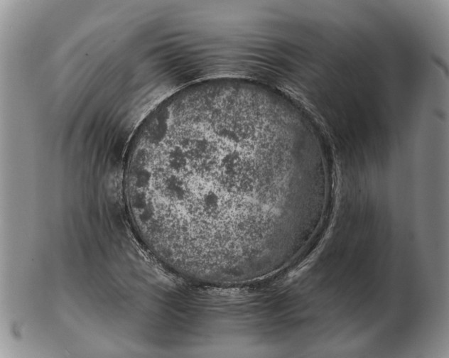 X0000103161121200809121832