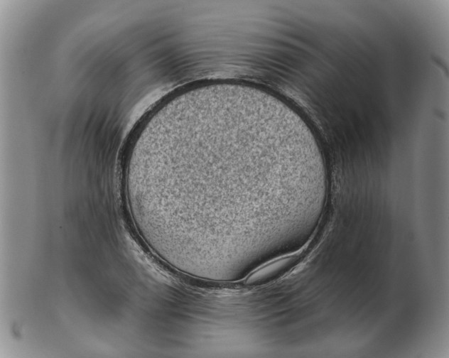 X0000103161122200809121832