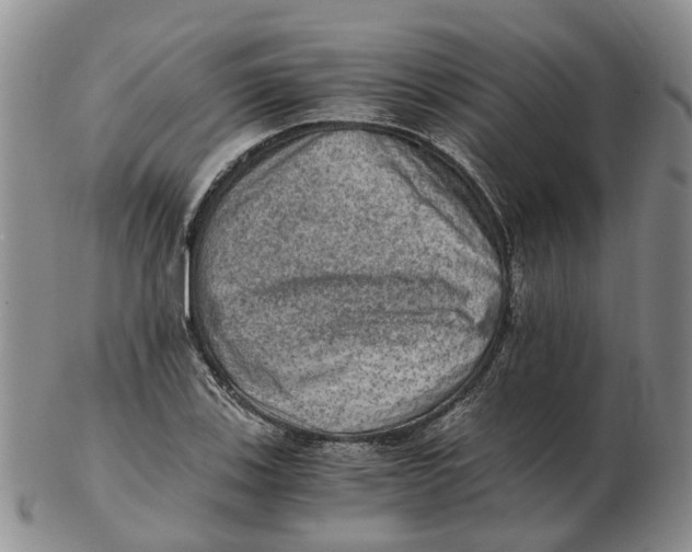 X0000103161123200809121832