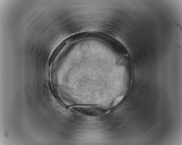 X0000103161124200809121832