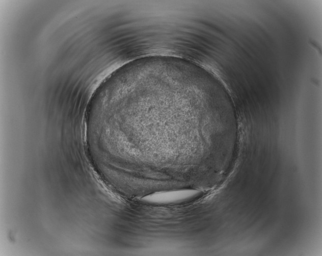 X0000103161125200809121832