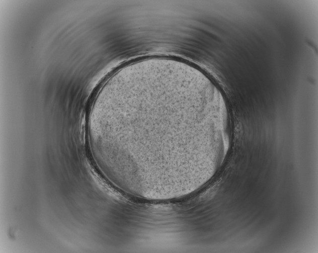 X0000103161126200809121832