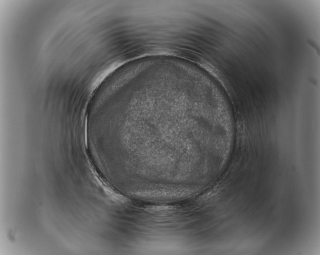 X0000103161127200809121832