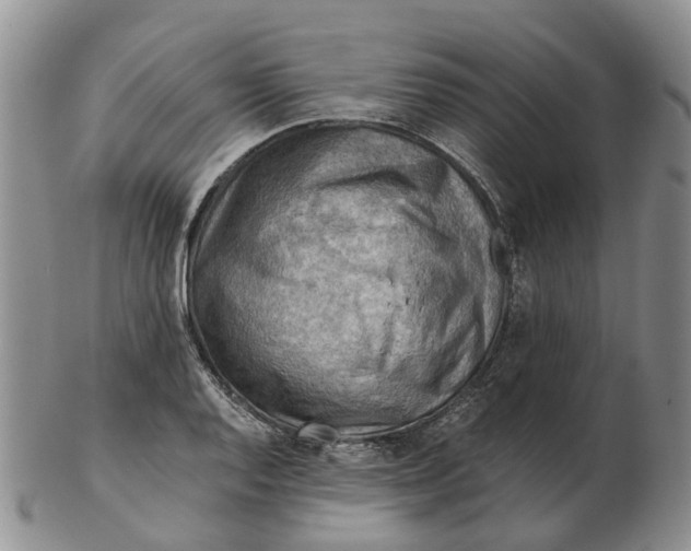 X0000103161128200809121832