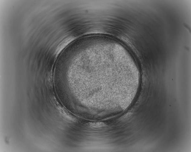 X0000103161129200809121832