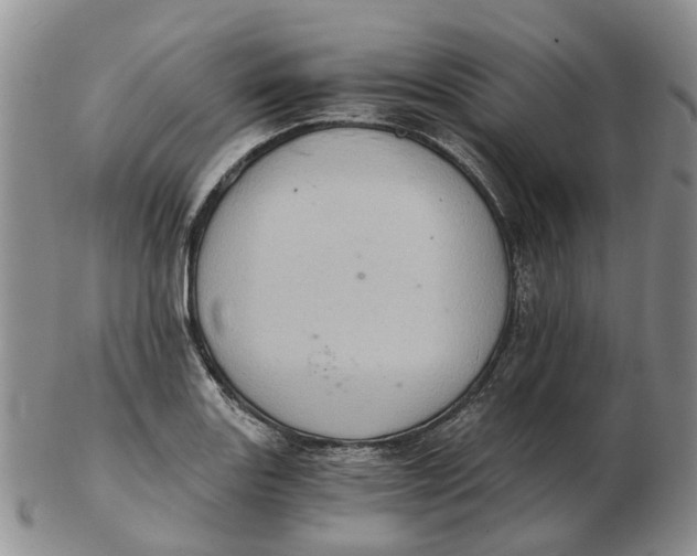 X0000103161131200809121832