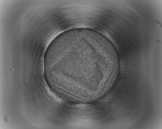 X0000103161132200809121832