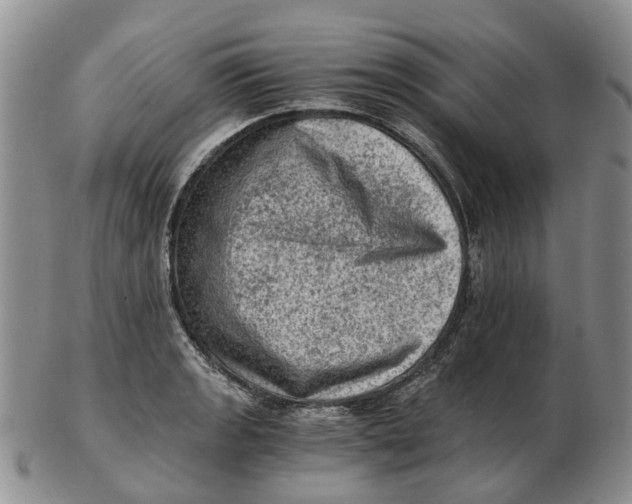 X0000103161133200809121832