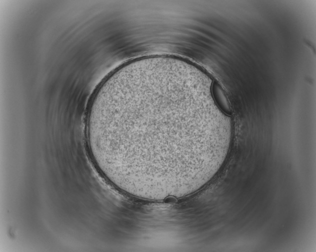 X0000103161134200809121832